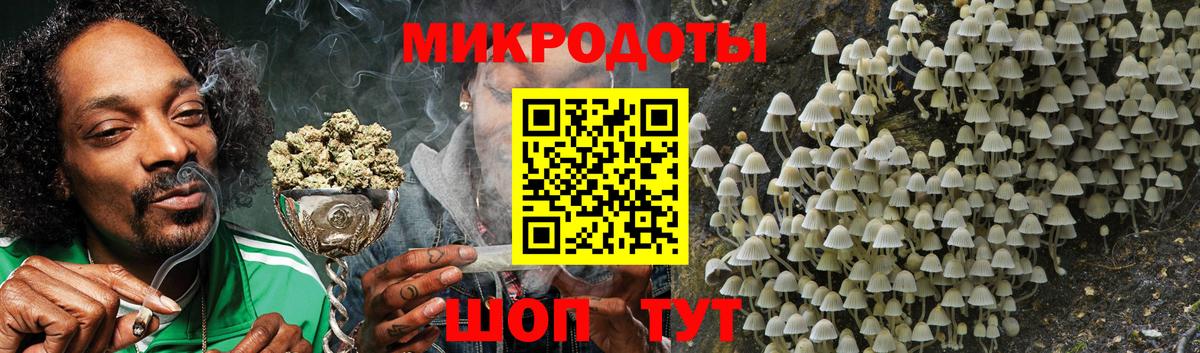 Бугуруслан  Галлюциногенные грибы Psilocybe  Вход с VPN 